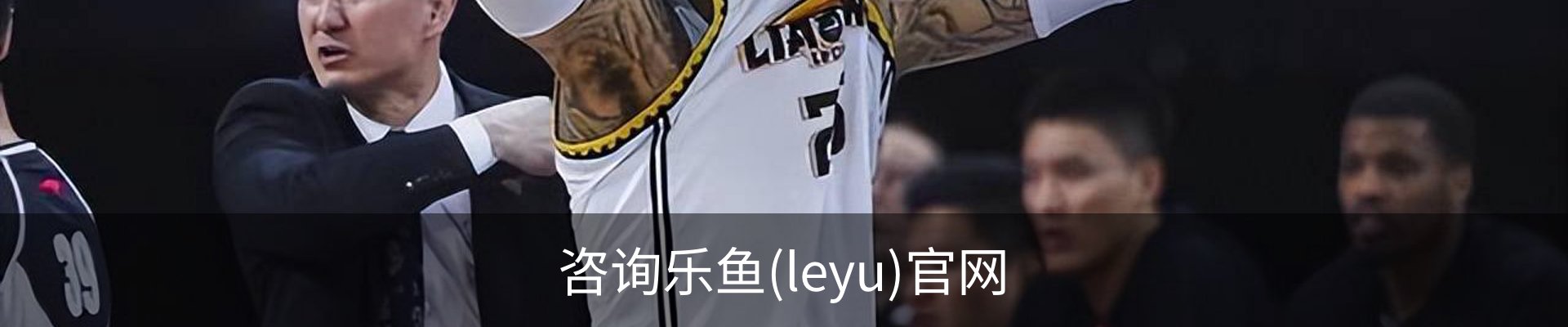 咨询乐鱼(leyu)官网